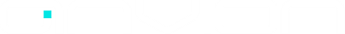 Anvion wordmark on dark